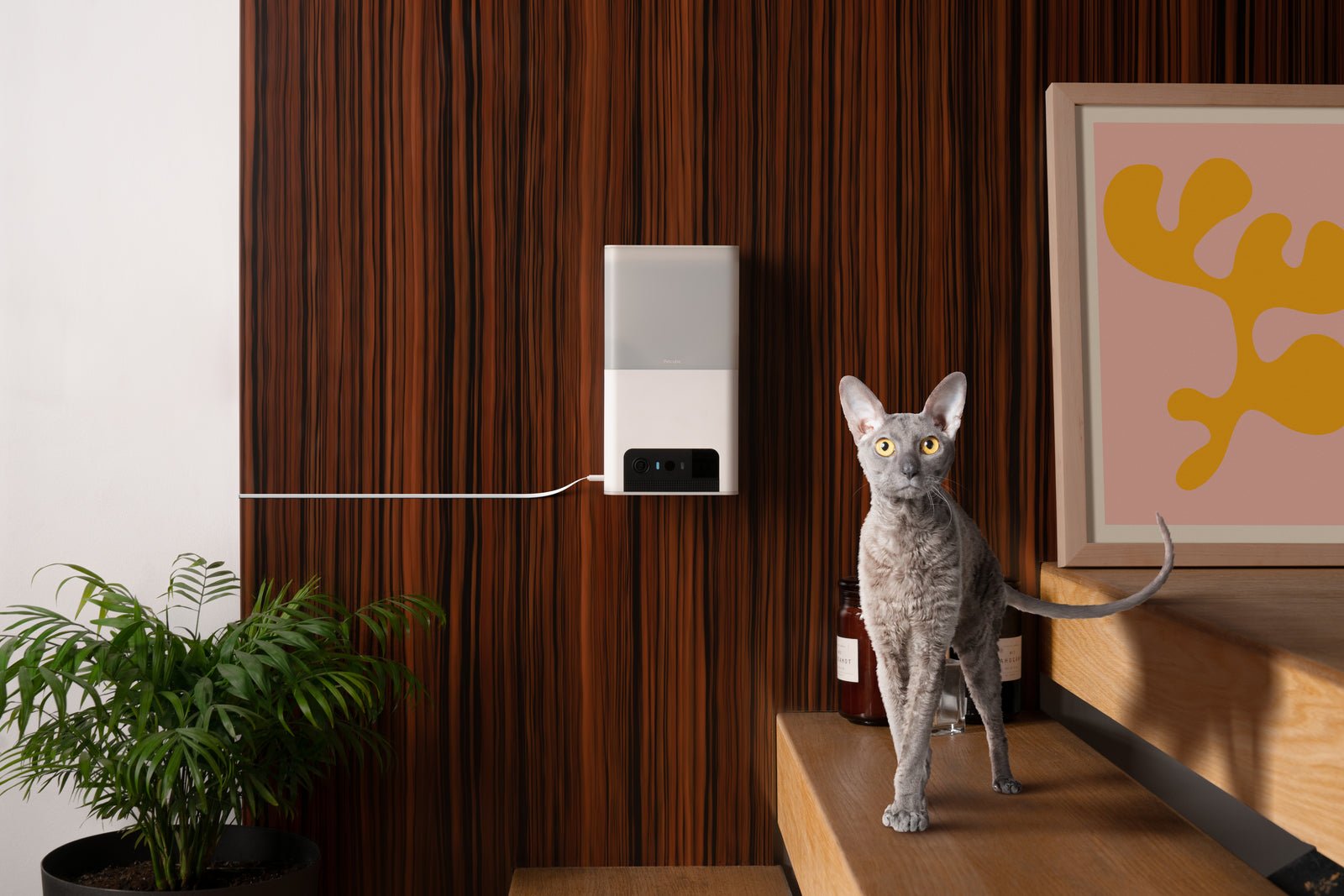 PETCUBE Bites 2 Lite Pet Camera And Treat Dispenser - Furbabies Online