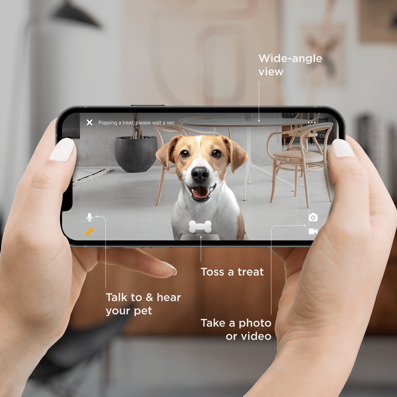PETCUBE Bites 2 Lite Pet Camera And Treat Dispenser - Furbabies Online