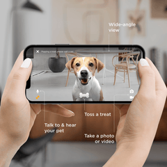 PETCUBE Bites 2 Lite Pet Camera And Treat Dispenser - Furbabies Online