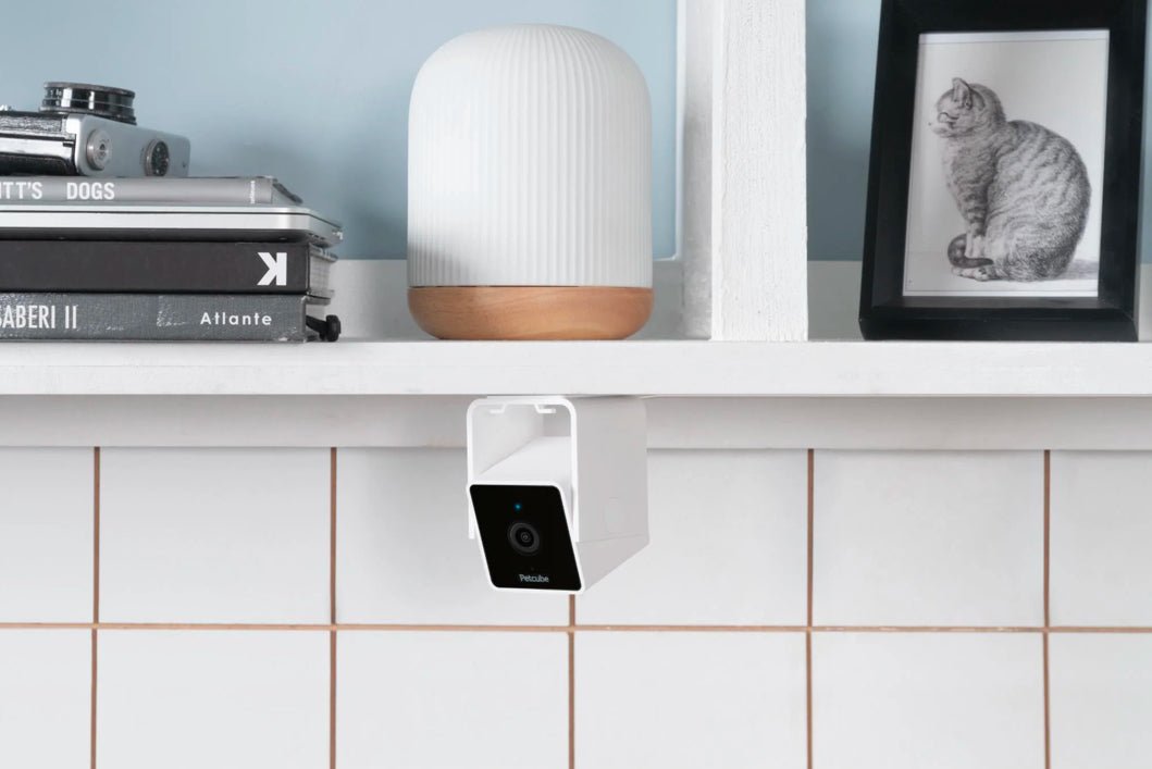 Petcube Cam - Furbabies Online