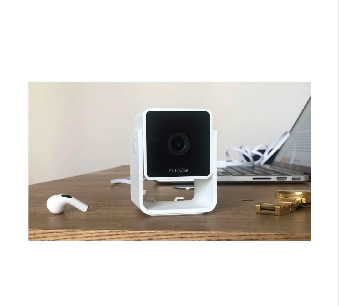 Petcube Cam - Furbabies Online