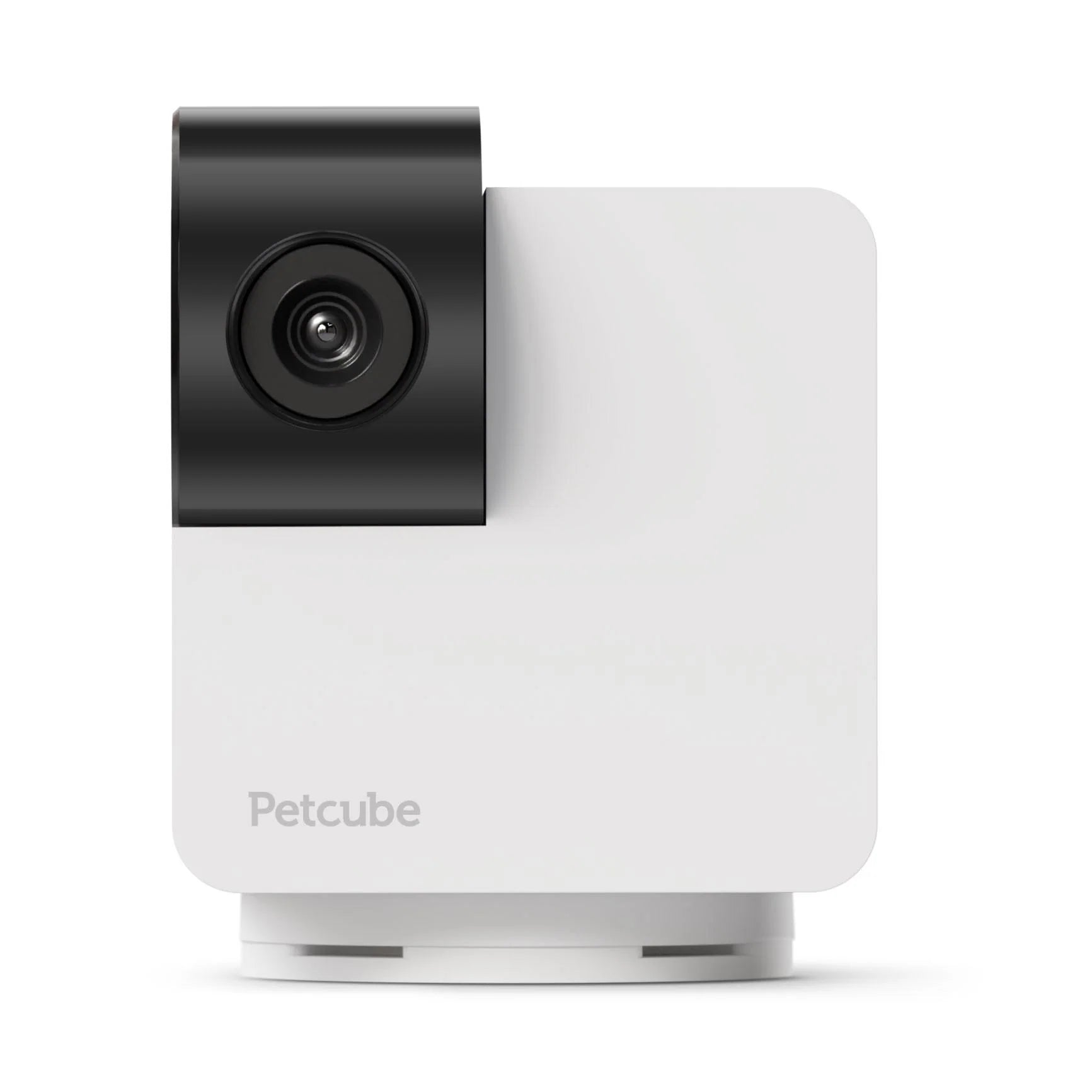 Petcube Cam 360 - Furbabies Online