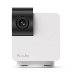Petcube Cam 360 - Furbabies Online