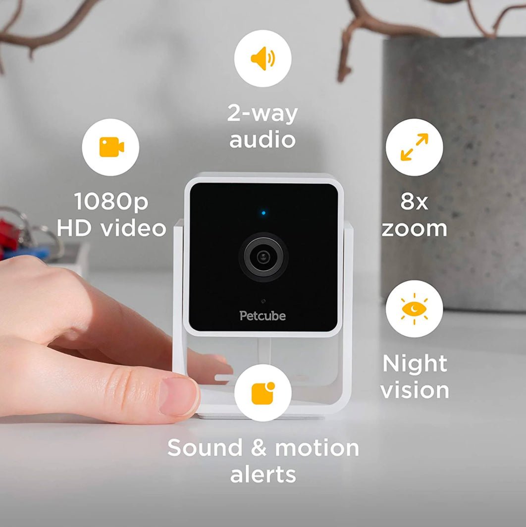 Petcube Cam - Furbabies Online