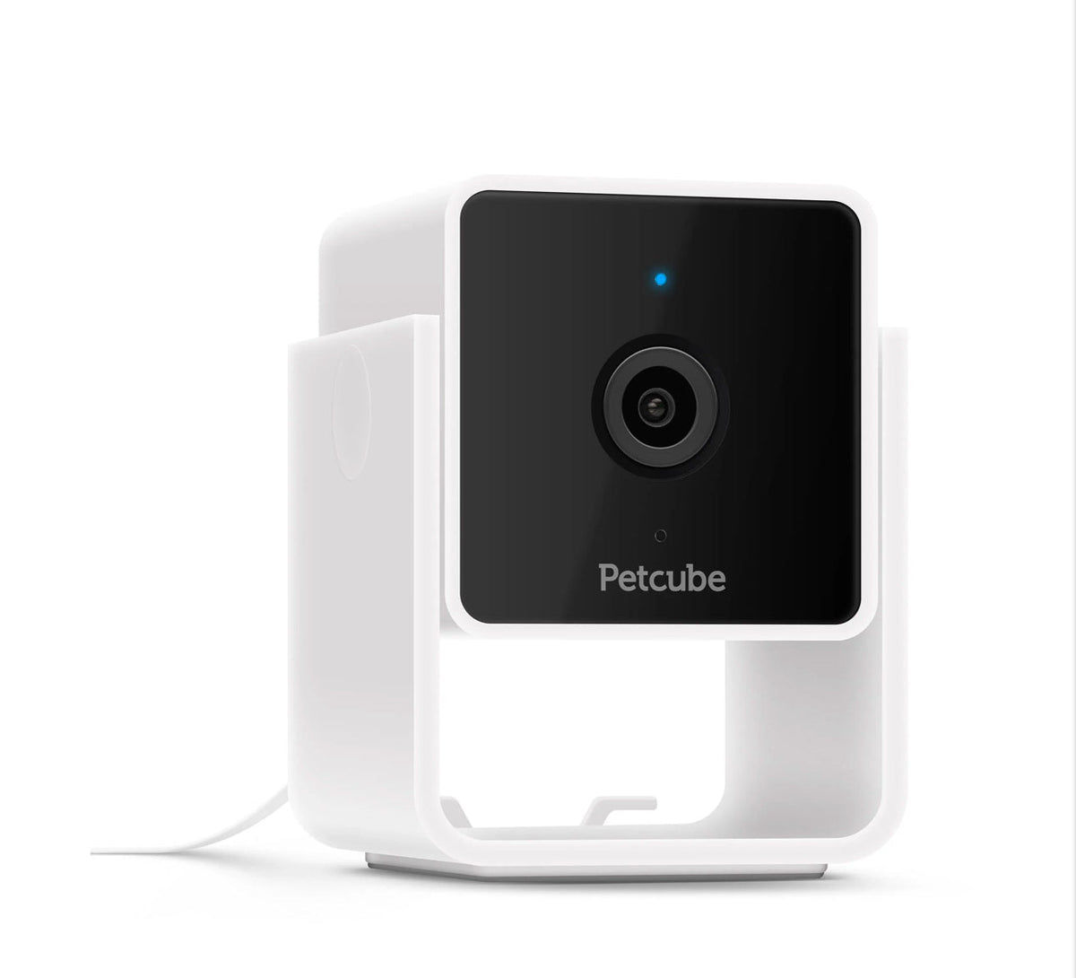 Petcube Cam - Furbabies Online