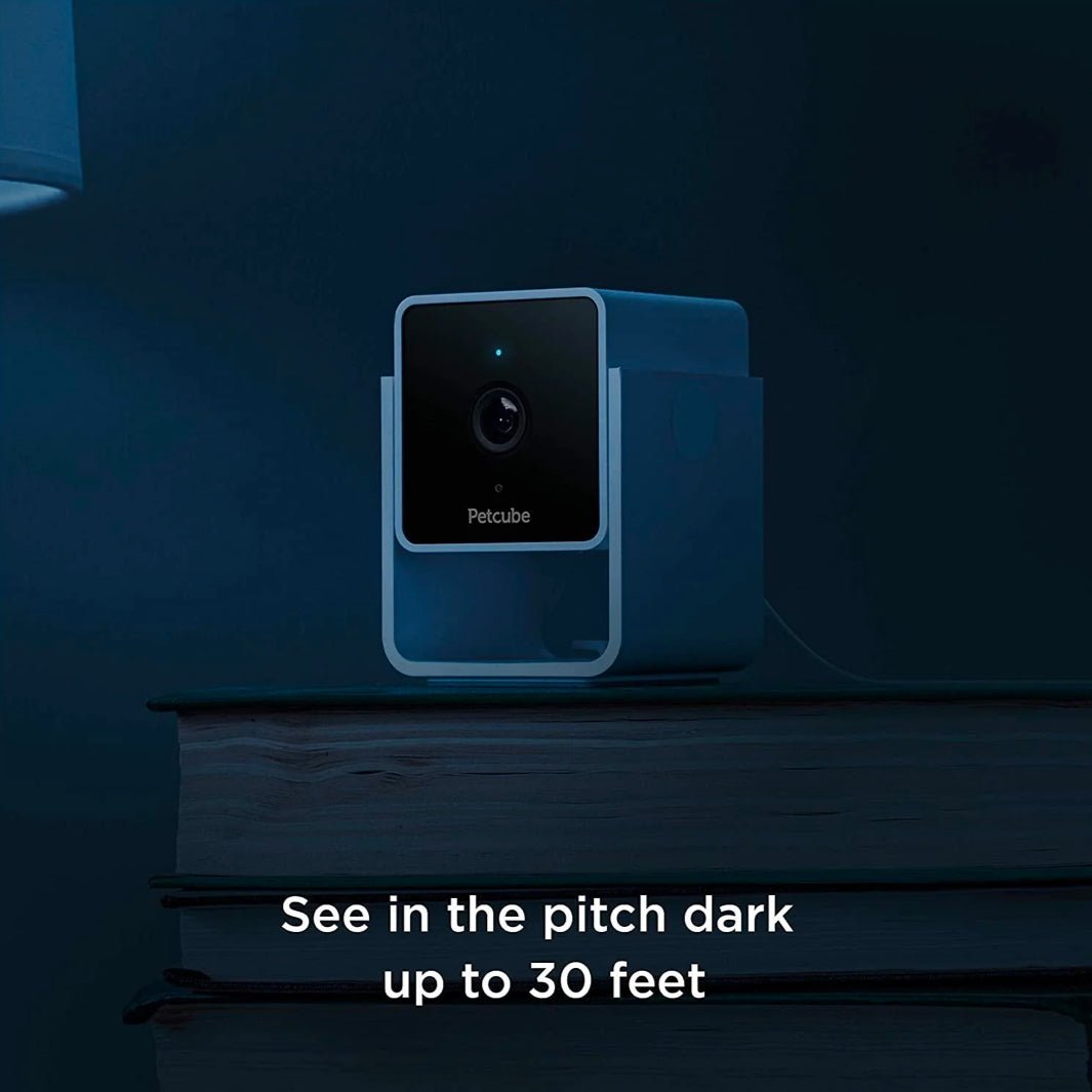 Petcube Cam - Furbabies Online