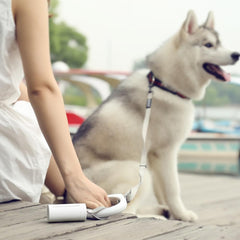 PETKIT Dog Waste Bag Set - Furbabies Online