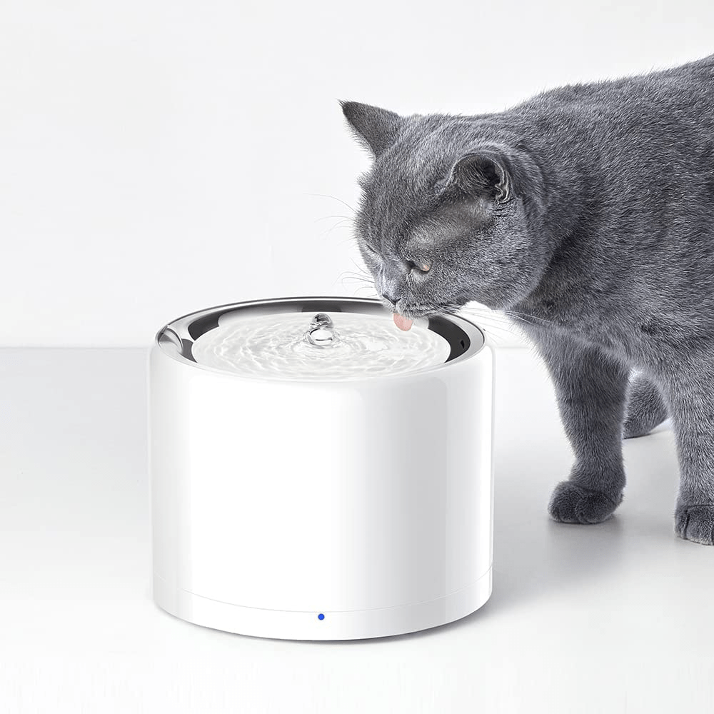 PETKIT Eversweet 3 Pro Wireless Smart Drinking Fountain – 1.8L - Furbabies Online