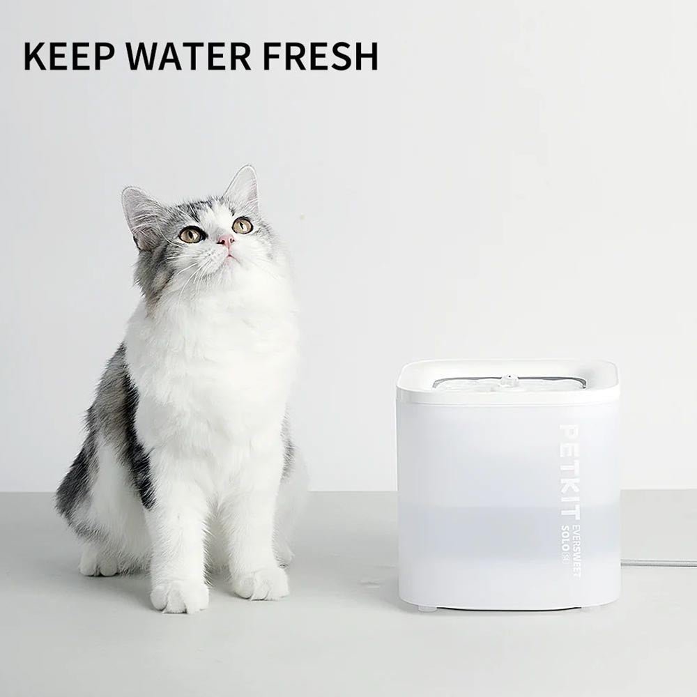 PETKIT Eversweet SOLO 2 Wireless Smart Water Fountain 2L - Furbabies Online
