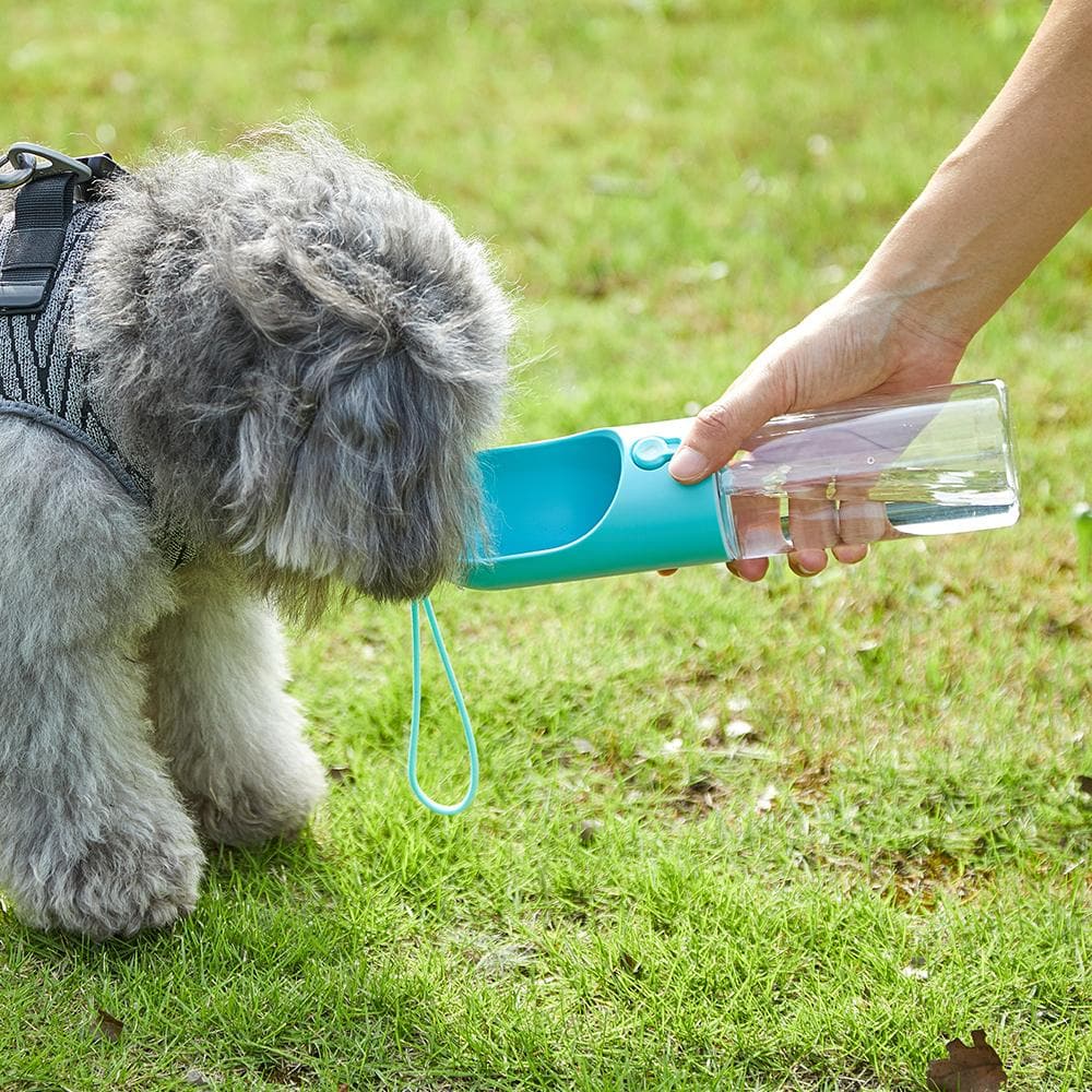 PETKIT Eversweet Travel Water Bottle - 300Ml(2 Colors) - Furbabies Online