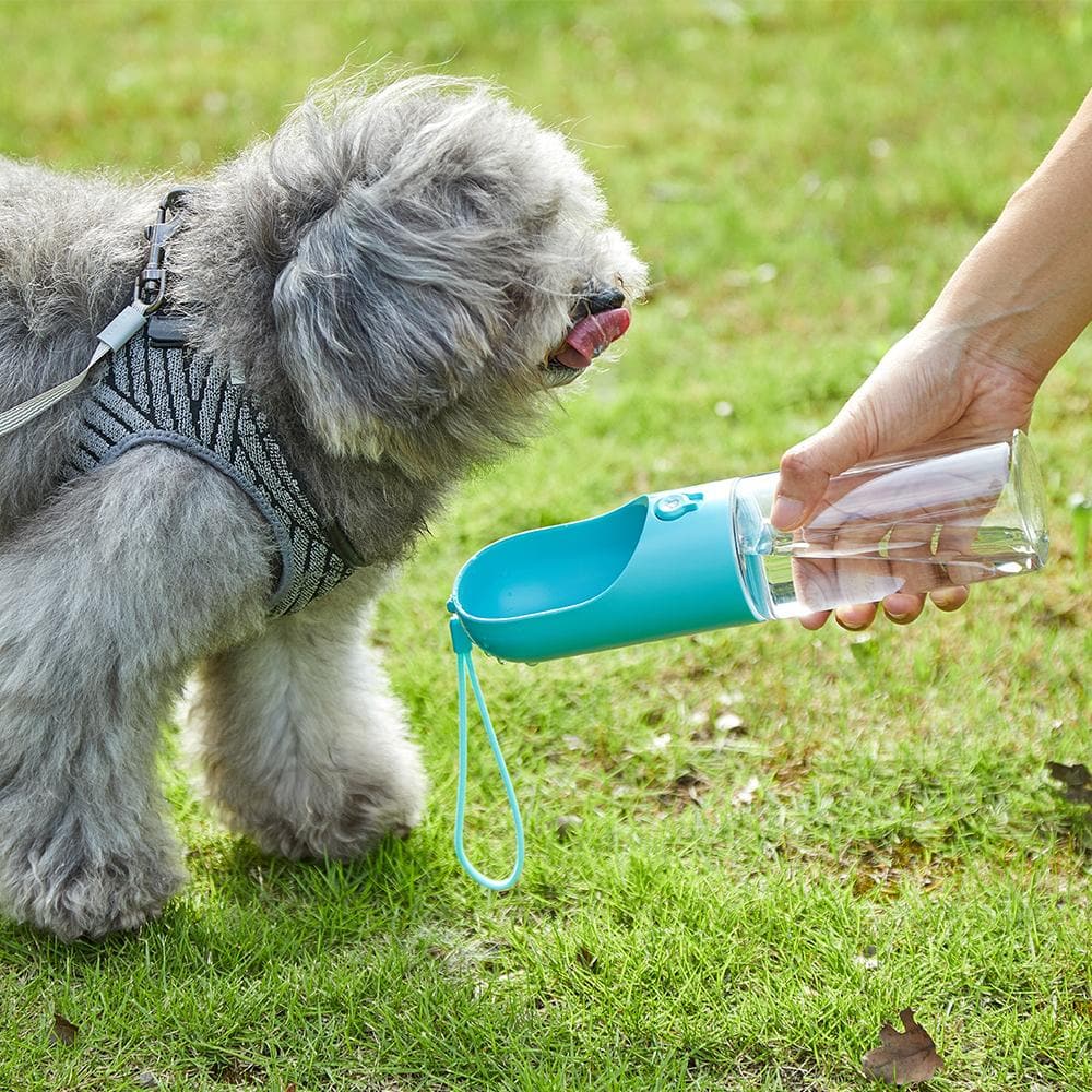 PETKIT Eversweet Travel Water Bottle - 300Ml(2 Colors) - Furbabies Online