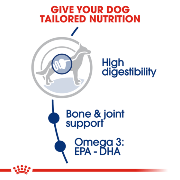 Royal Canin Maxi Adult Dry Dog Food - Furbabies Online