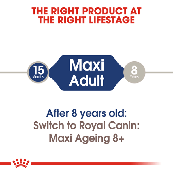 Royal Canin Maxi Adult Wet Dog Food Pouches - Furbabies Online