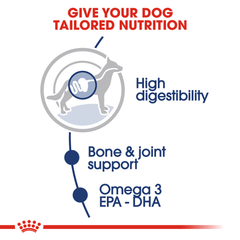 Royal Canin Maxi Adult Wet Dog Food Pouches - Furbabies Online