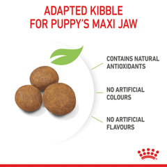 Royal Canin Maxi Puppy Dry Dog Food - Furbabies Online