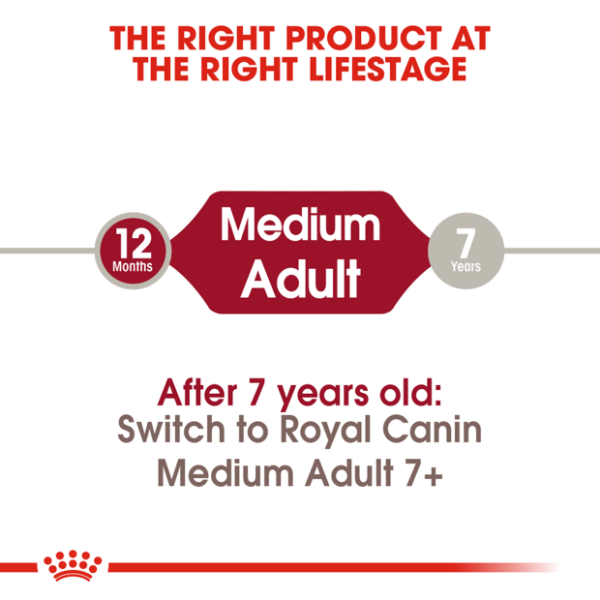 Royal Canin Medium Adult Dry Dog Food - Furbabies Online