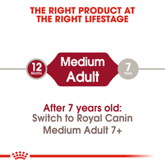 Royal Canin Medium Adult Dry Dog Food - Furbabies Online