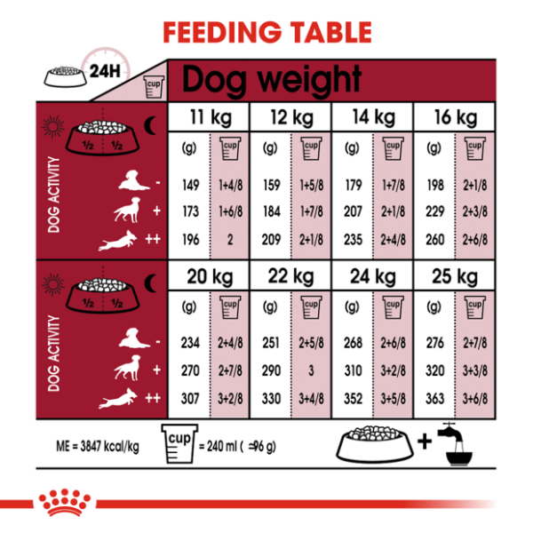 Royal Canin Medium Adult Dry Dog Food - Furbabies Online