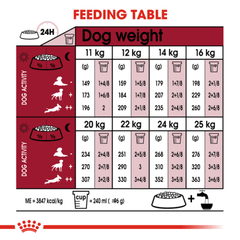 Royal Canin Medium Adult Dry Dog Food - Furbabies Online