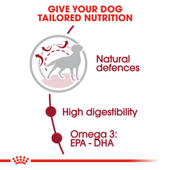 Royal Canin Medium Adult Dry Dog Food - Furbabies Online