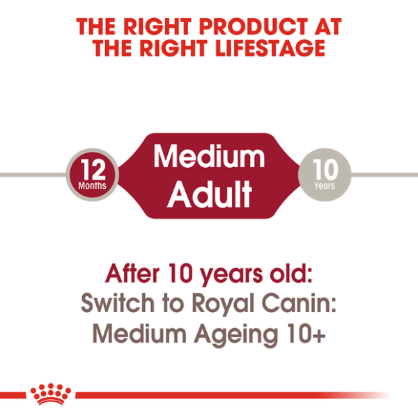 Royal Canin Medium Adult Wet Dog Food Pouches - Furbabies Online