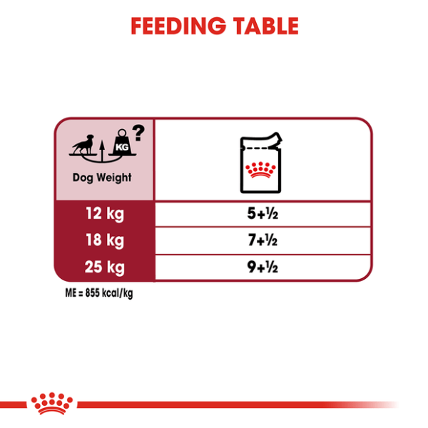 Royal Canin Medium Adult Wet Dog Food Pouches - Furbabies Online