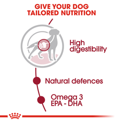 Royal Canin Medium Adult Wet Dog Food Pouches - Furbabies Online