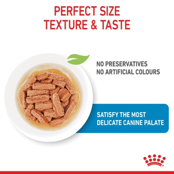 Royal Canin Medium Puppy Wet Dog Food Pouches - Furbabies Online