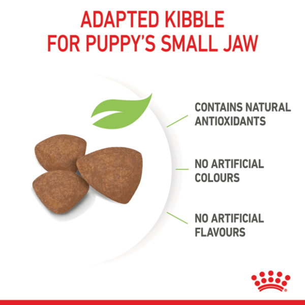 Royal Canin Mini Puppy Dry Dog Food - Furbabies Online
