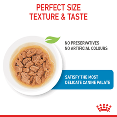 Royal Canin Mini Puppy Wet Dog Food Pouches - Furbabies Online