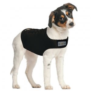 Zendog CALMING SHIRT Xlarge (Chest 73 - 93cm) - Furbabies Online